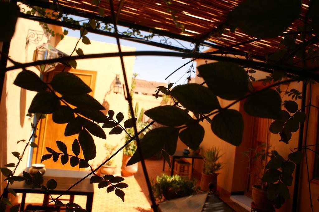 Maison D'Hotes Dar El Nath 우아르자자테 외부 사진
